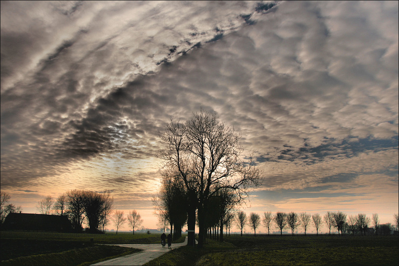 Zwarte laan in de lucht