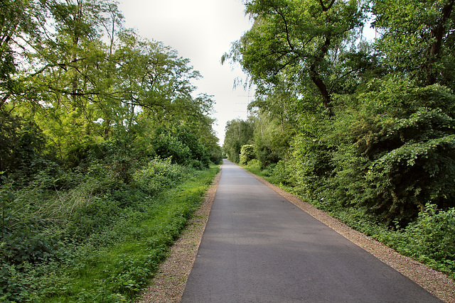 Radweg Erzbahntrasse (Wanne-Eickel) / 21.05.2018