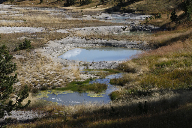 Painted Pools