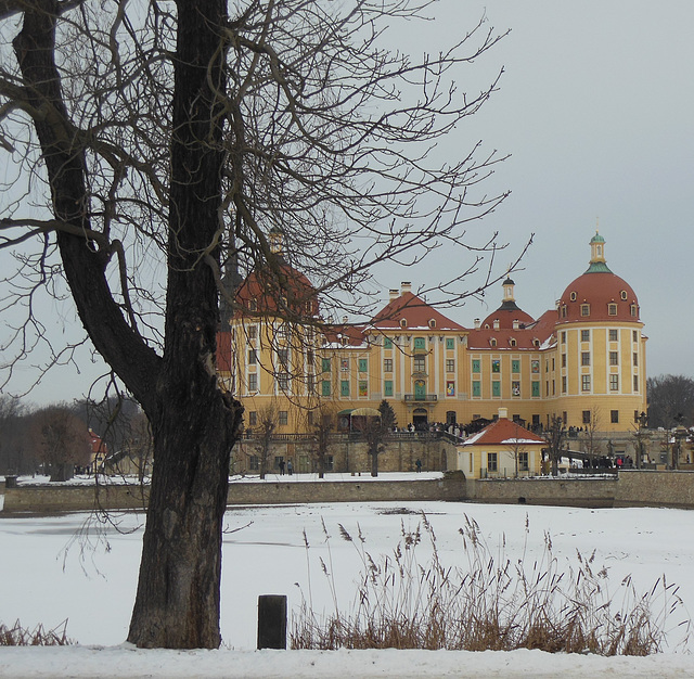 Winter am Schloss Moritzburg