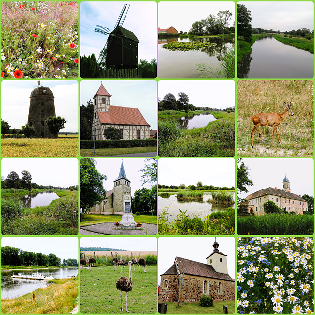 Radtouren - 24.06.2017 - Elbe - Elster