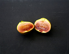 Fig