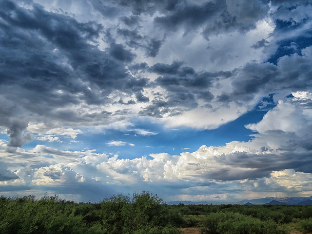 The Rainy Season