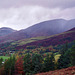 Looking to Skiddaw (931m) from below Mallen Dodd (Scan from Oct 1994)