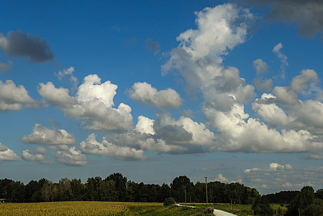 20200901 9664CPw [D~PB] Wolken, Steinhorster Becken, Delbrück