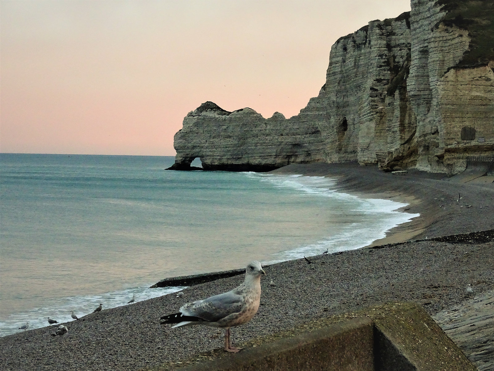 Aurore sur la falaise d'amont - Etretat