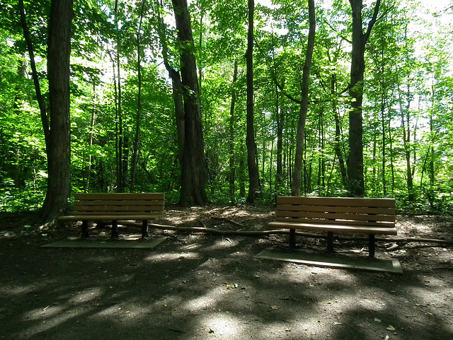 Happy double bench monday