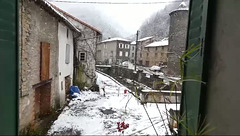 Merial sous la neige