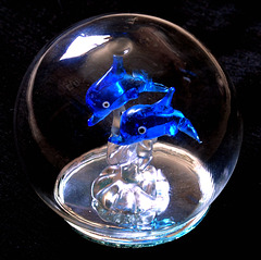 Crystal dolphins (view on black).