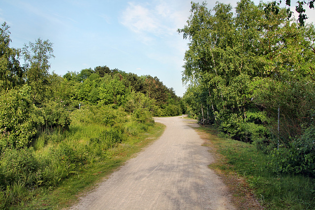 Weg zur Halde Pluto-Wilhelm (Wanne-Eickel) / 21.05.2018