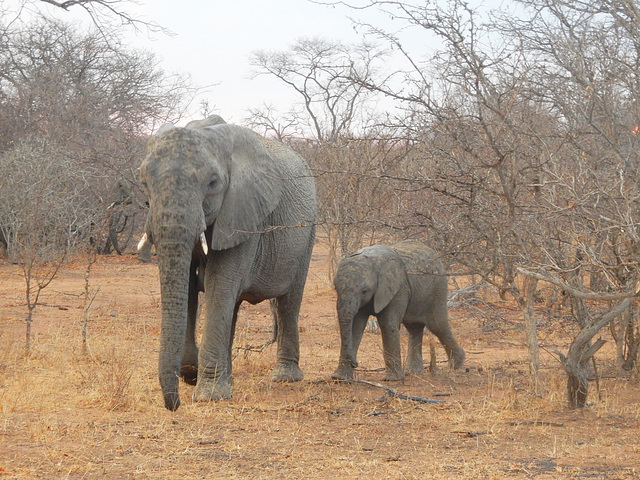 mother and child