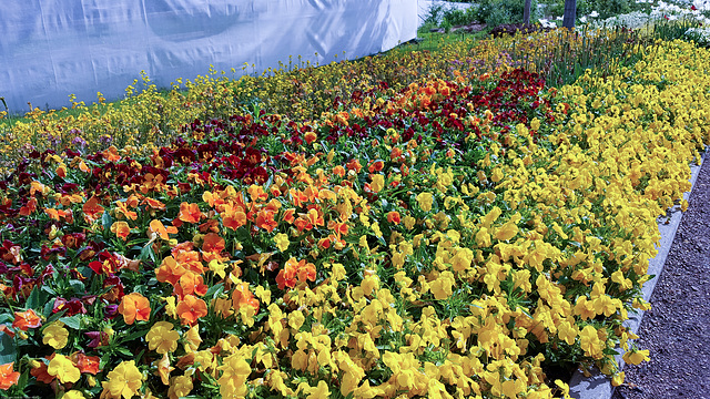 Landesgartenschau 2016