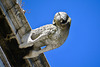 Lisbon 2018 – Museu Nacional do Azulejo – Gargoyle