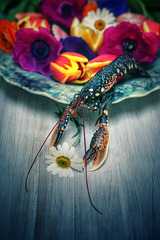 lobster 8