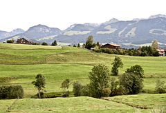 Blick über's Allgäu