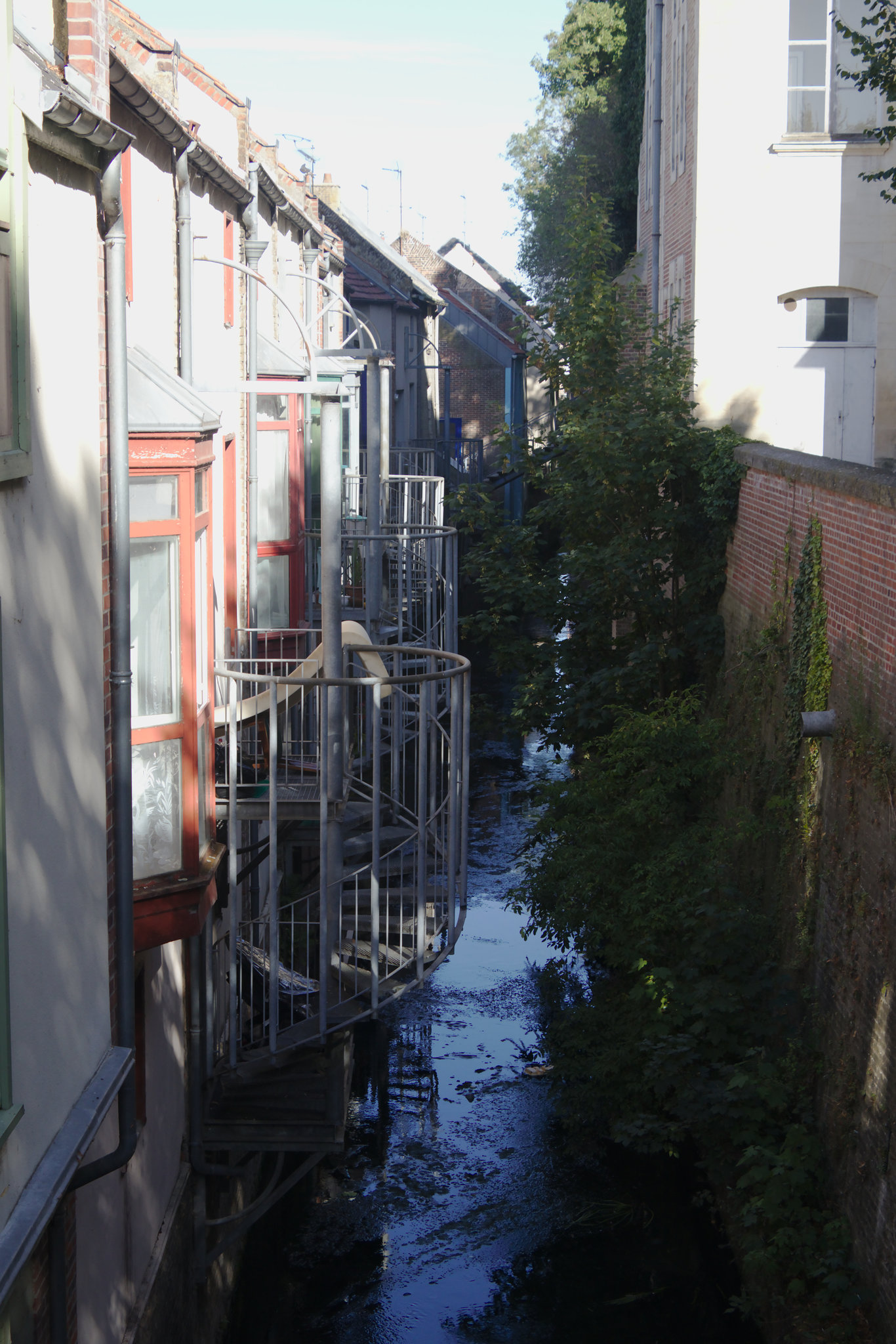 img 0015