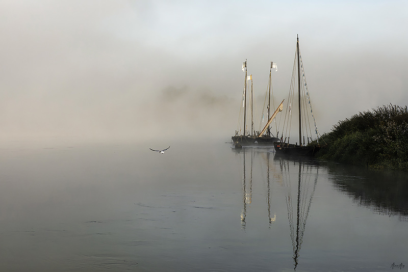 AZY Brume sur Loire