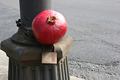 Pomegranate in Love