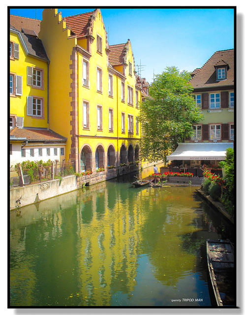 Colmar