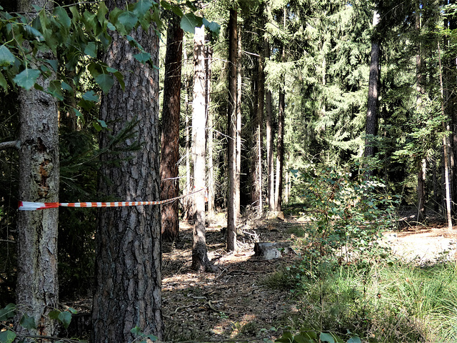 Begrenzungen