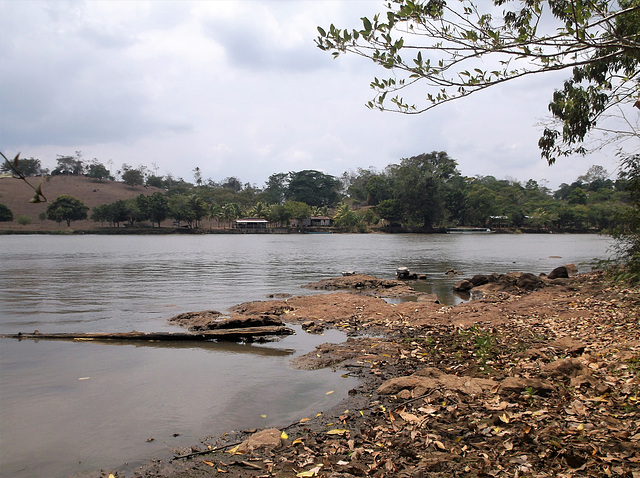 Le calme d'une rive nicaraguayenne