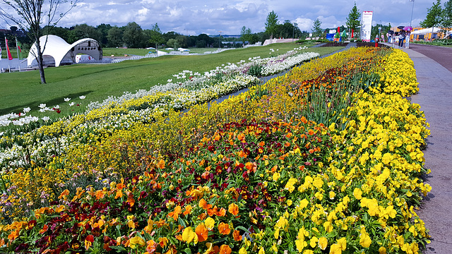 Landesgartenschau 2016