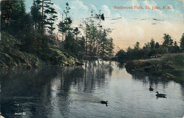 7151. Rockwood Park, St. John, N.B.
