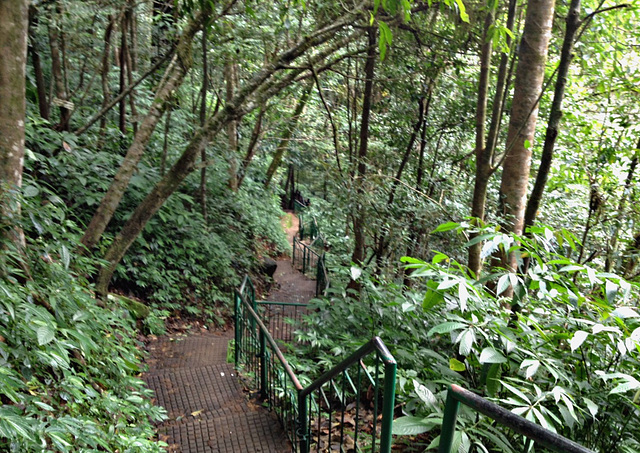 Passage to the bottom of the falls