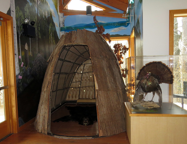 A natural tree bark shelter.