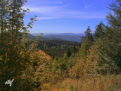 Blick ueber den Schwarzwald