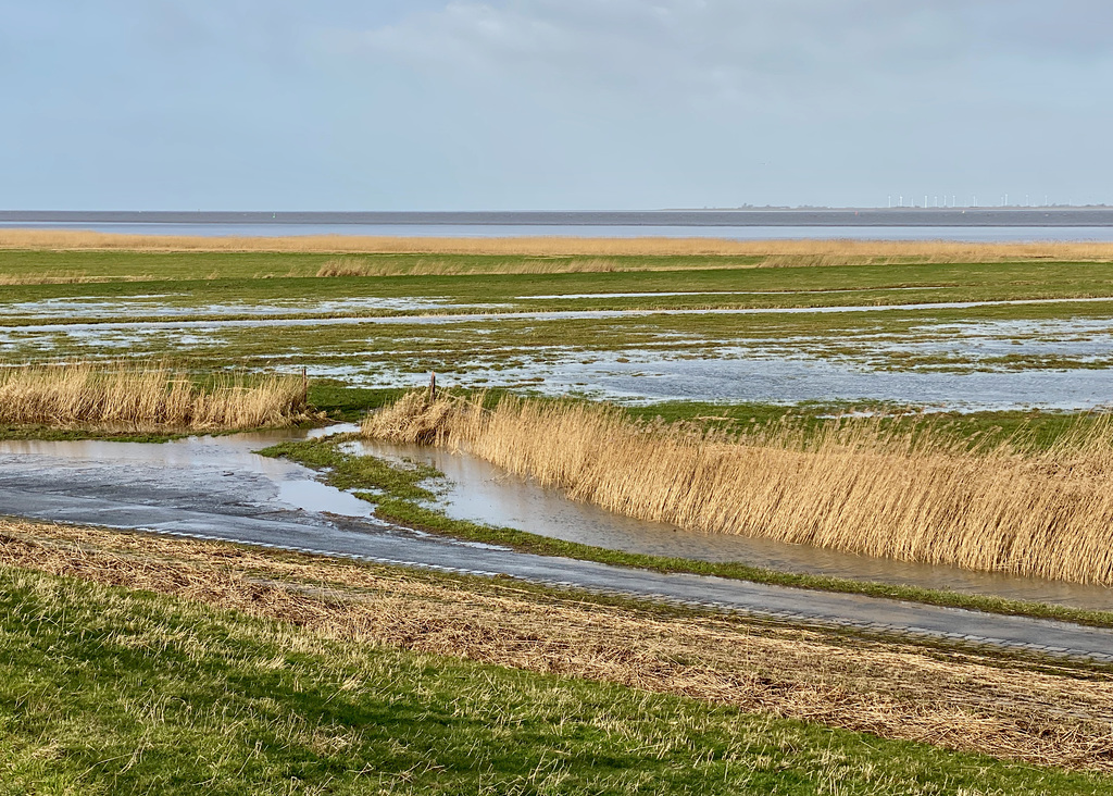 Landschaft an der Unterelbe