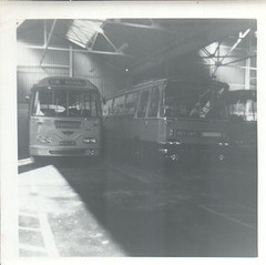 Yelloway 4643 DK and a Grey Cars coach - Summer 1965