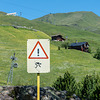 Achtung Gefahr ! - Sommer - Ski - fahren - 2015-06-26--D4-DSC3066