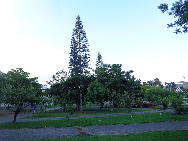 DSC06630 - Praça da Cidadania