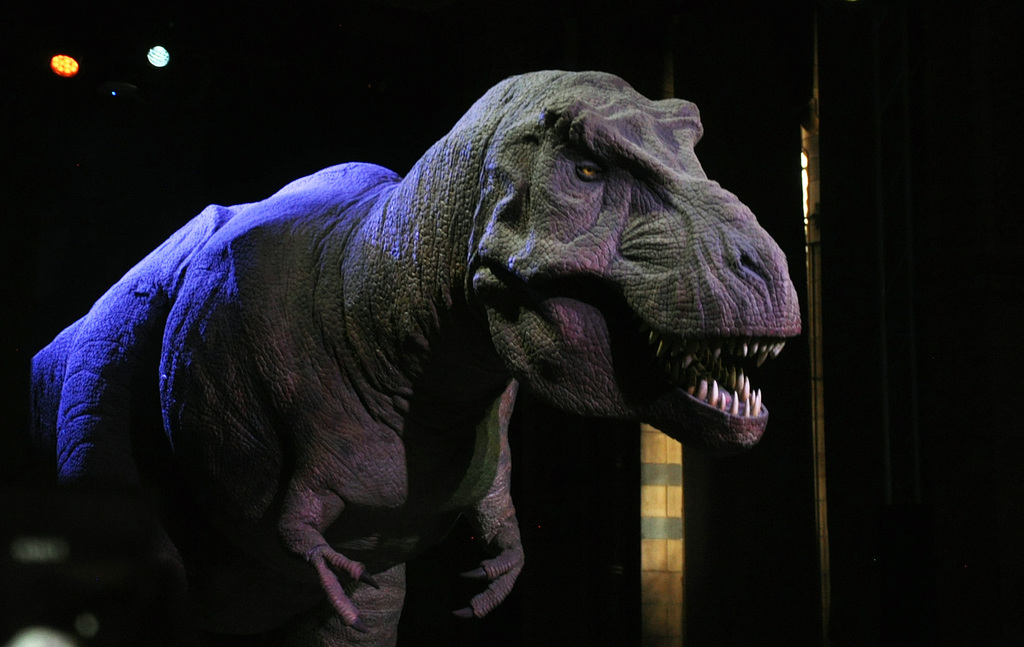 NHM t rex model lifesize DSC 5468