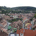 View Over Sighisoara