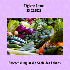 Tägliche Zitate 23.02.2021