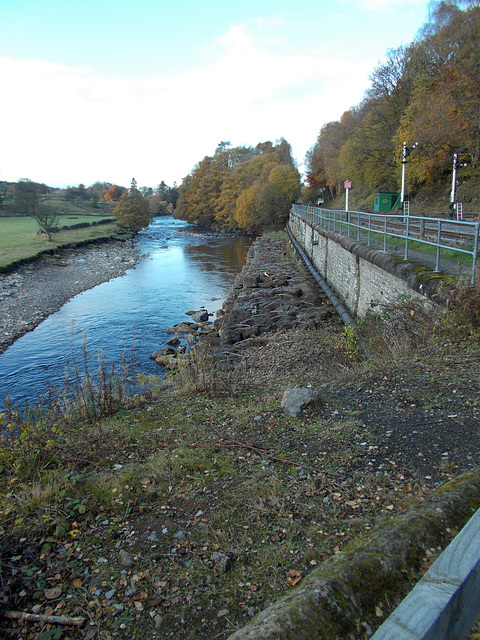 STR - autumnal view {1 of 3}