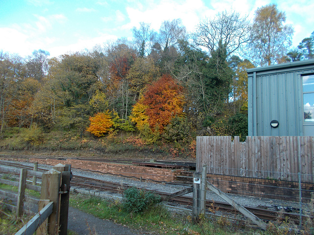 STR - bright leaves, also fences