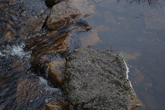 Middle Moor brook