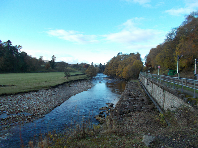 STR - autumnal view {2 of 3}