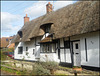 Dorchester thatch