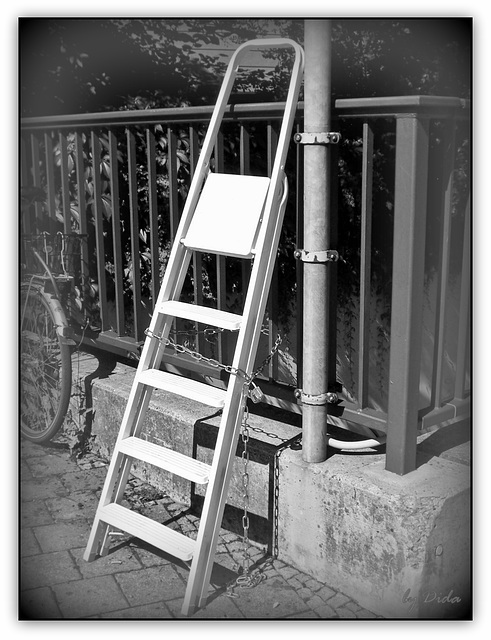 The Ladder (◕‿-)