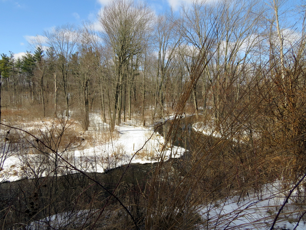 The creek I couldn't get to, icy trails.