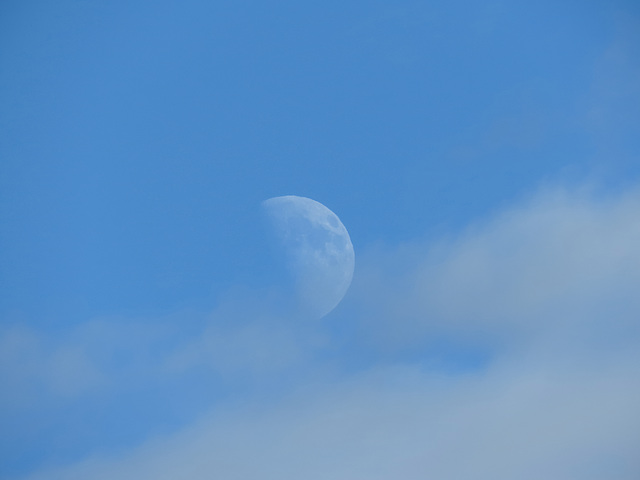 Moon in the Clouds
