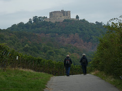 Hambacher Schloss und Wanderer in den Weinbergen bei Maikammer