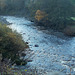 STR - autumnal view {3 of 3}