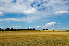 Weites fruchtbares Land am Fuße des Kronsbergs