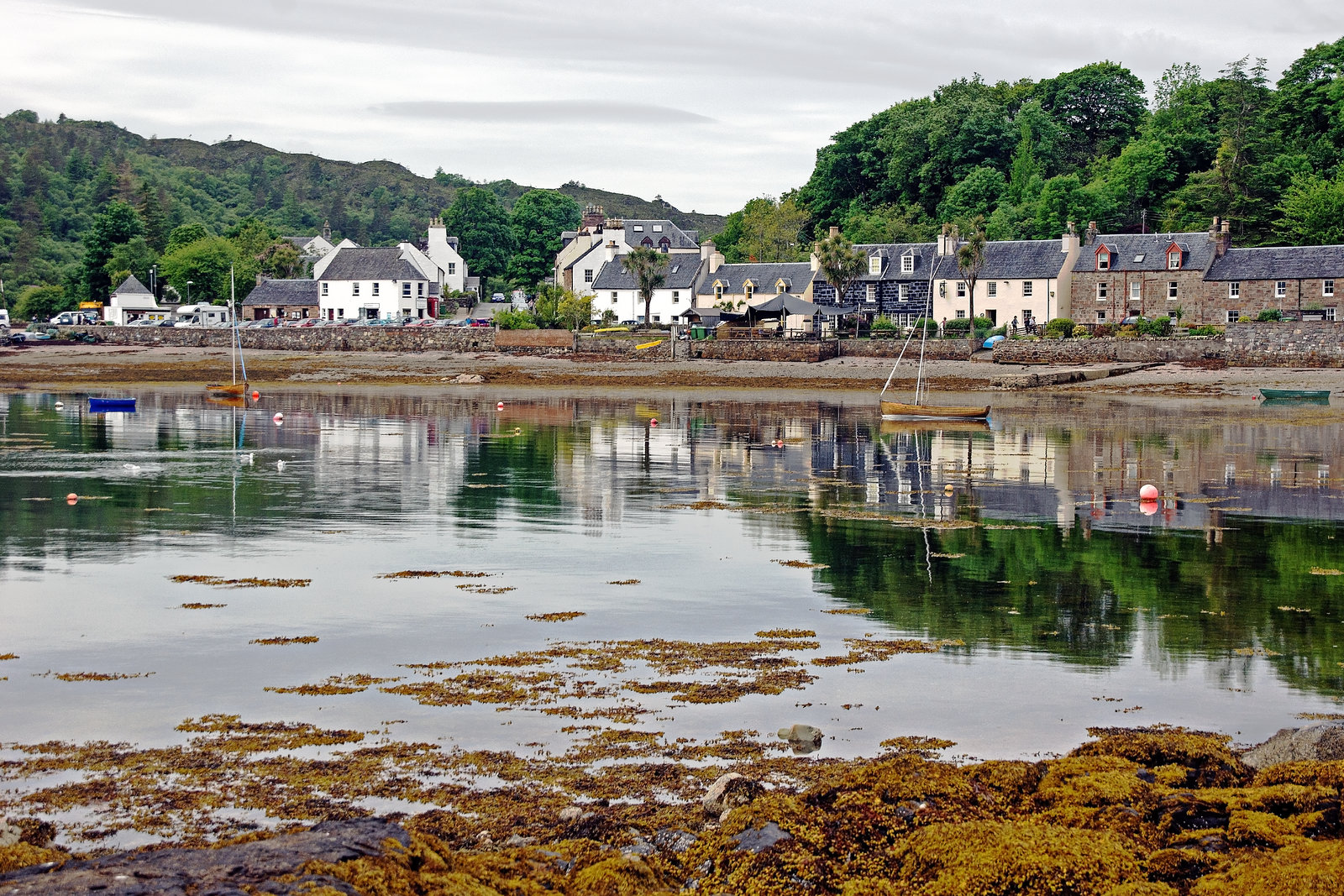 Reflections from the Loch