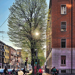 La Natura in città - Urban Nature